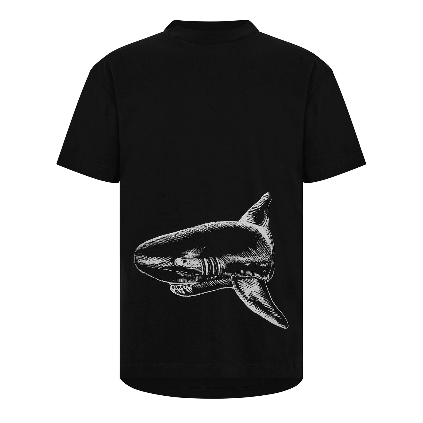 Palm Angels Outline Shark T Shirt Black
